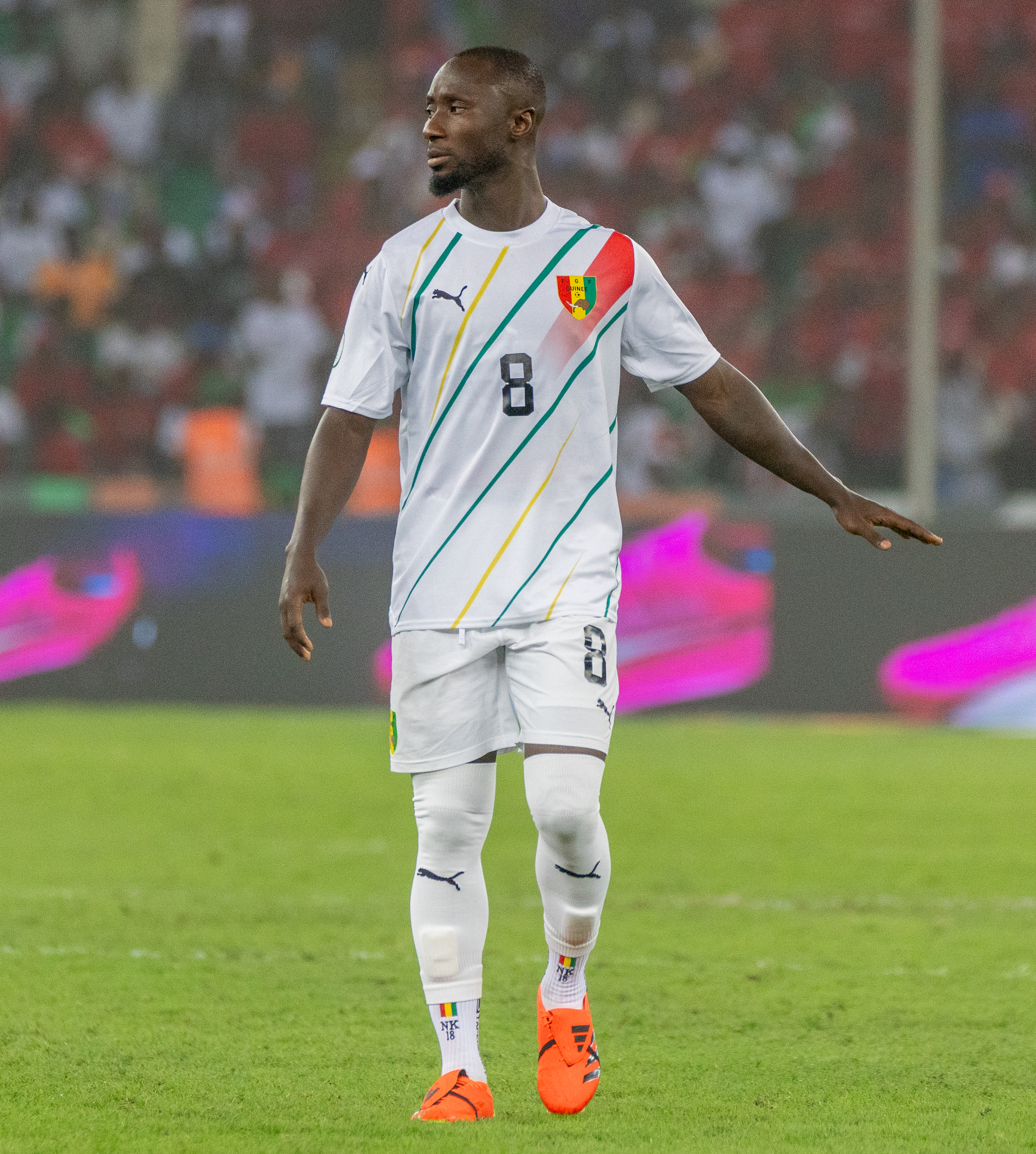 Top Guinea Football Players: Profiles, Stats, and Achievements