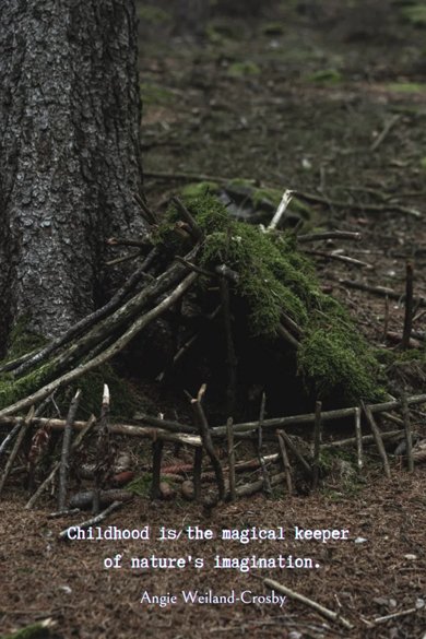 Inspirational Wood Quotes: Embrace Nature and Inner Strength
