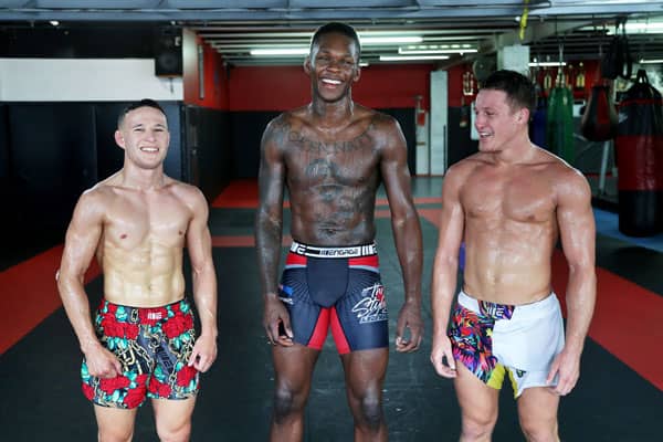 Types of MMA Shorts: Find the Best Style for Training and Competition