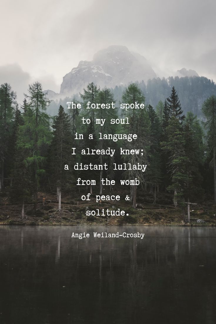 Inspiring In Woods Quotes: Natures Wisdom and Tranquility