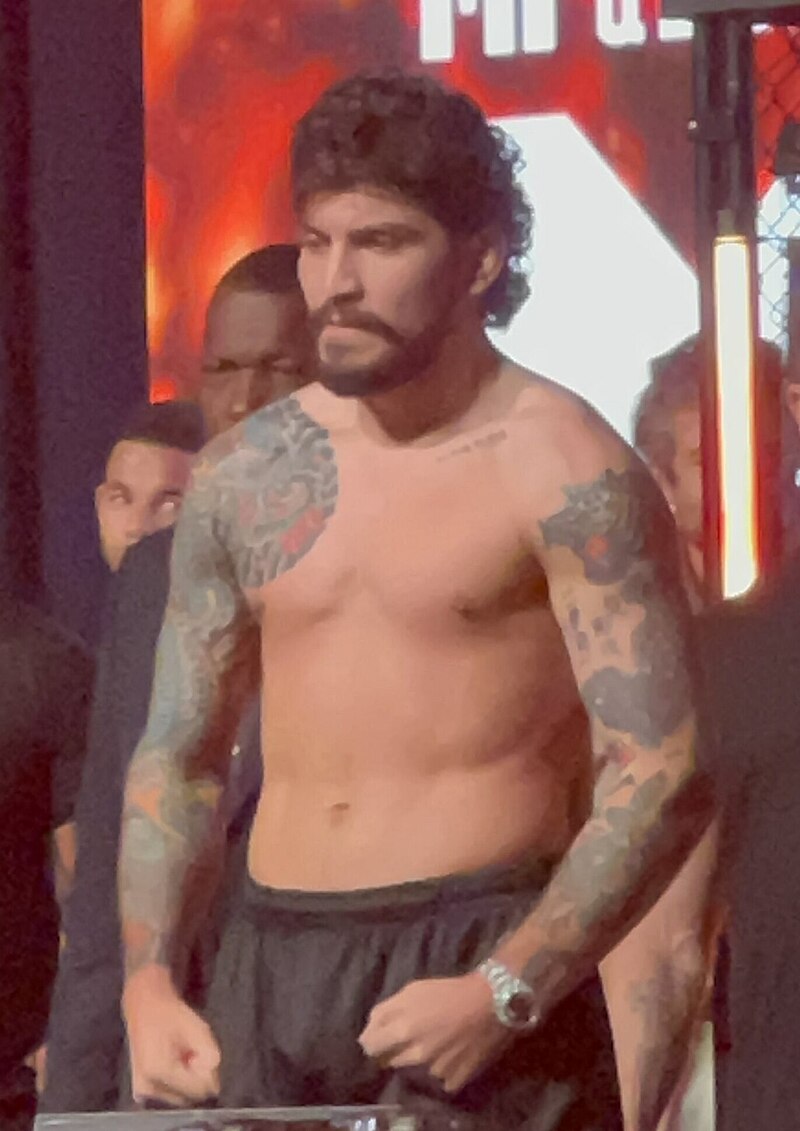 How Many Twitter Followers Does Dillon Danis Have in 2024?