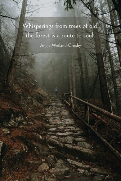 Inspirational Wood Quotes: Embrace Nature and Inner Strength