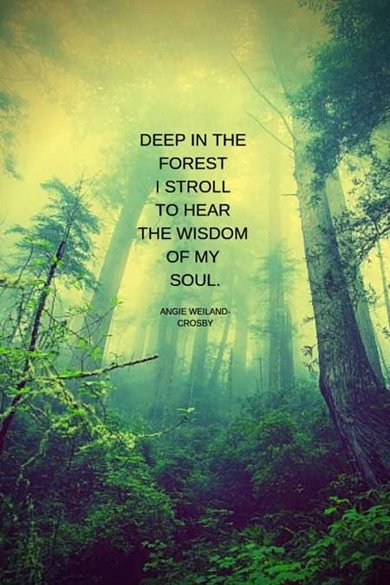 Inspiring In Woods Quotes: Natures Wisdom and Tranquility