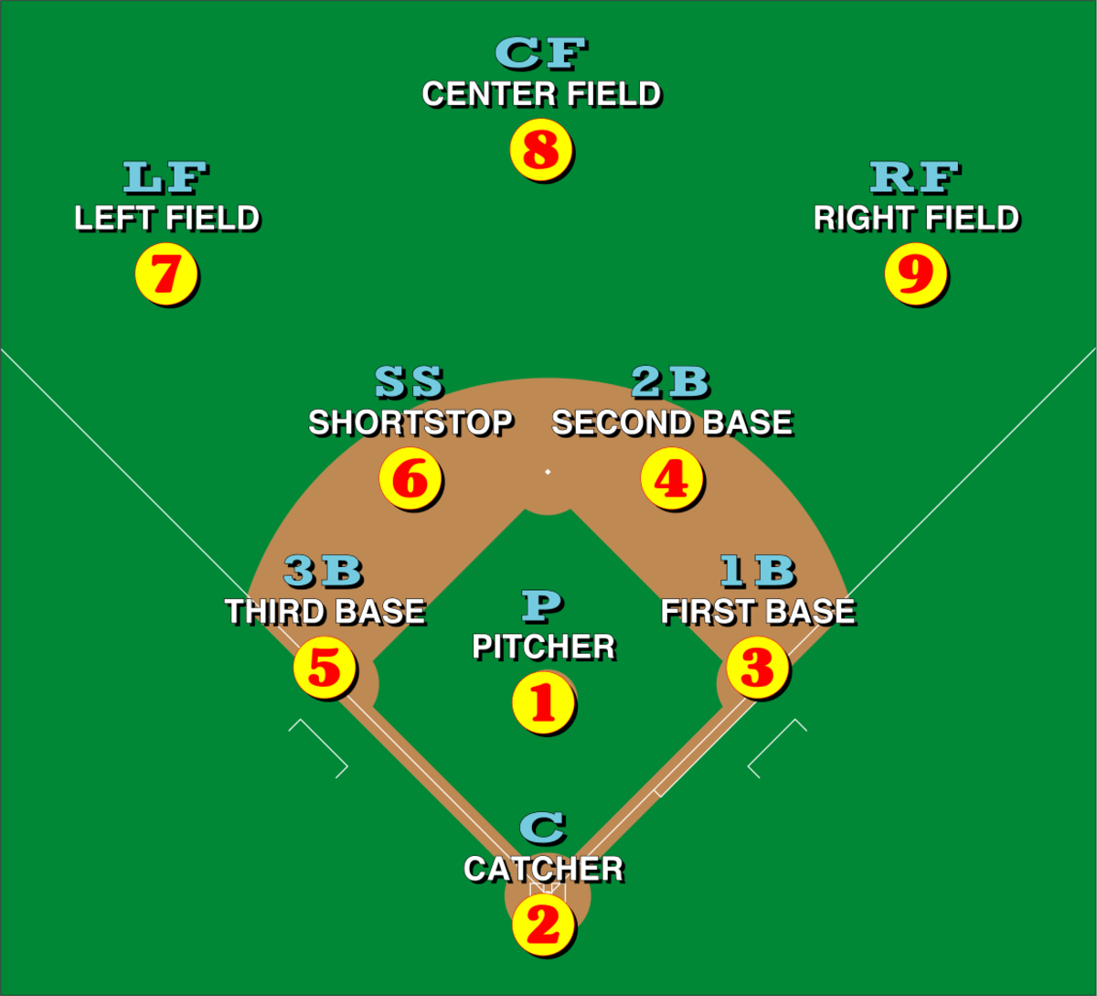 A Deep Dive into Baseball Positions by Numbers for Fans and Players
