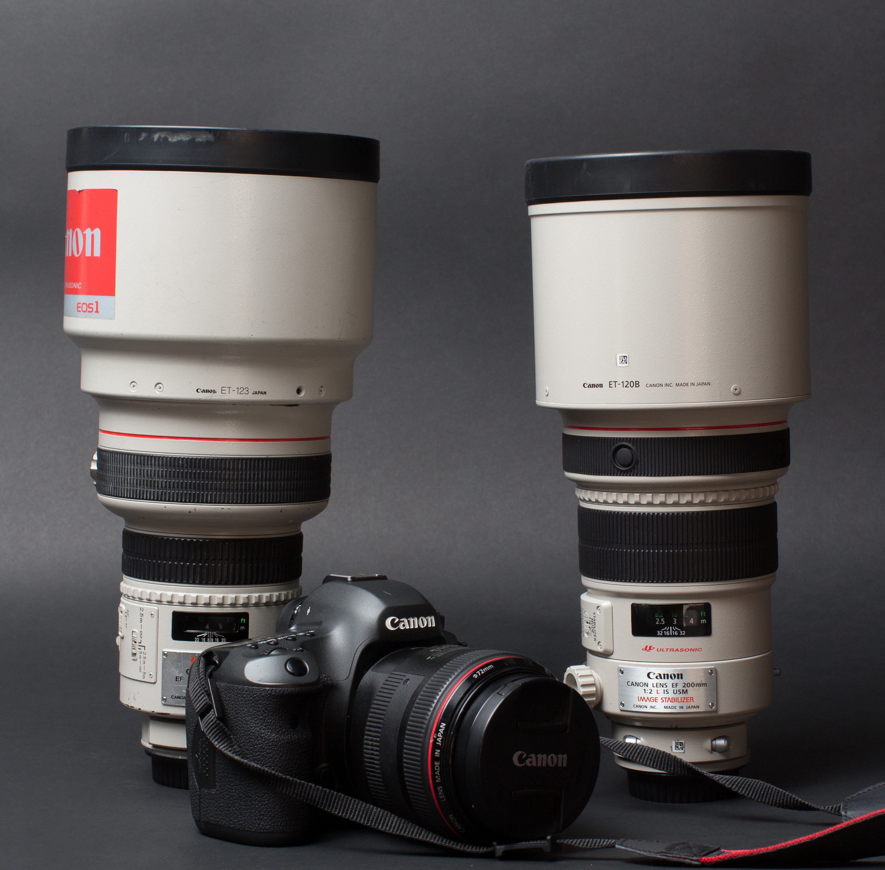 Canon 200mm f1.8: The Dreamy Bokeh King Youve Always Wanted