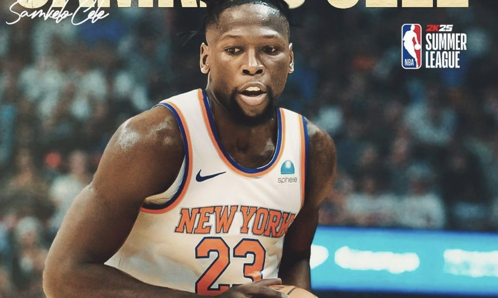 NBA Players from South Africa: A Look at the Rising Stars and History