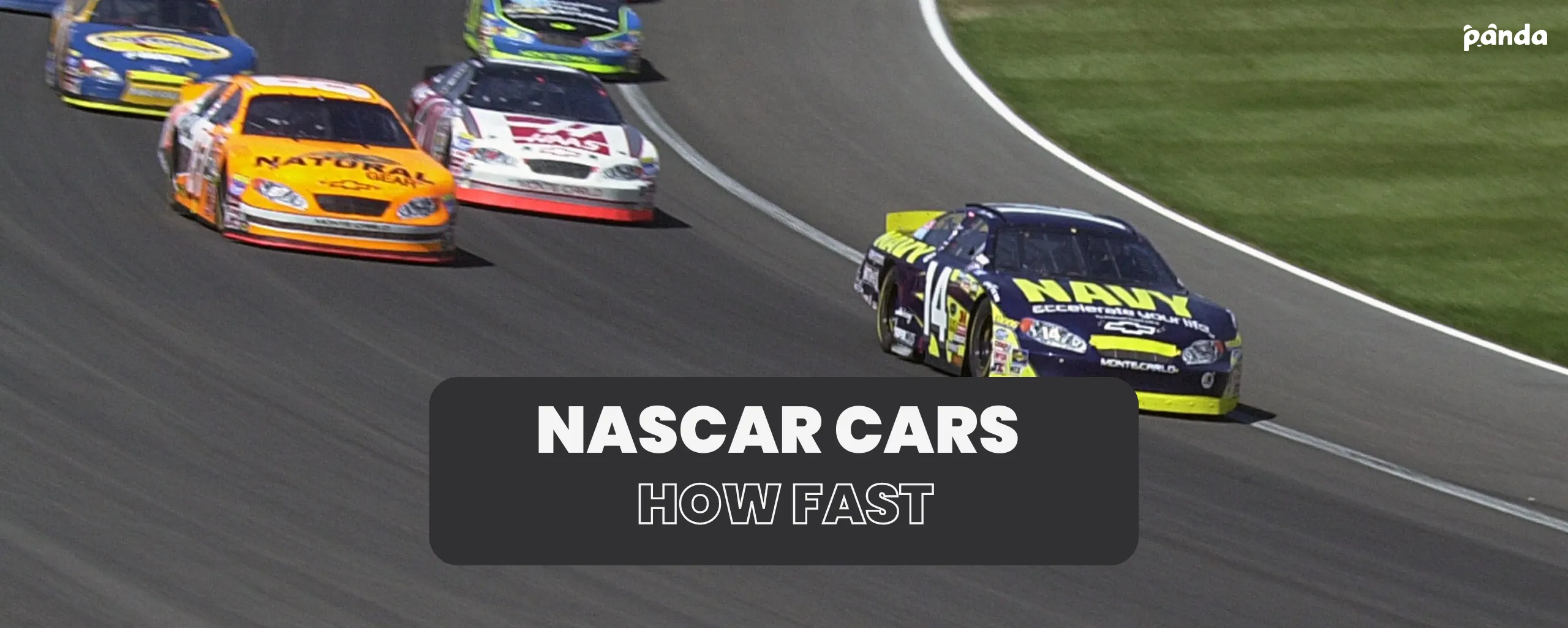 How Fast Do NASCAR Cars Reach? Top Speed Explained and Race Factors