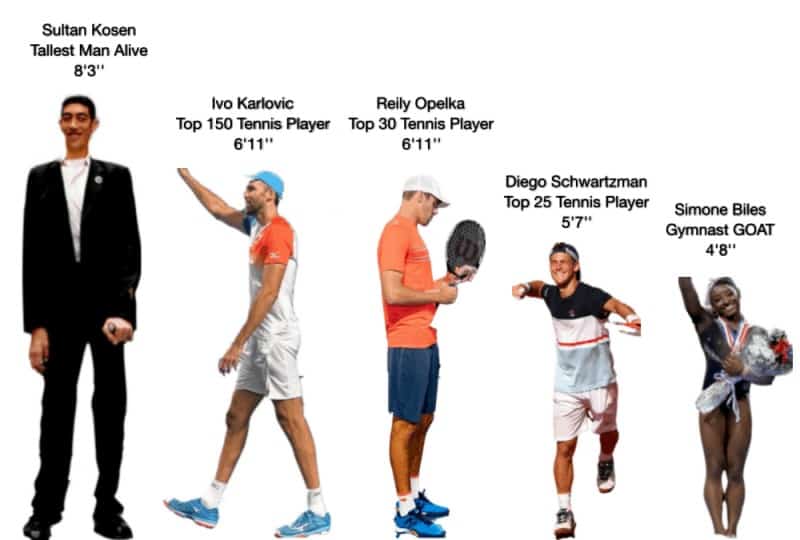 How Tall Are Tennis Players? Top Players and Average Heights