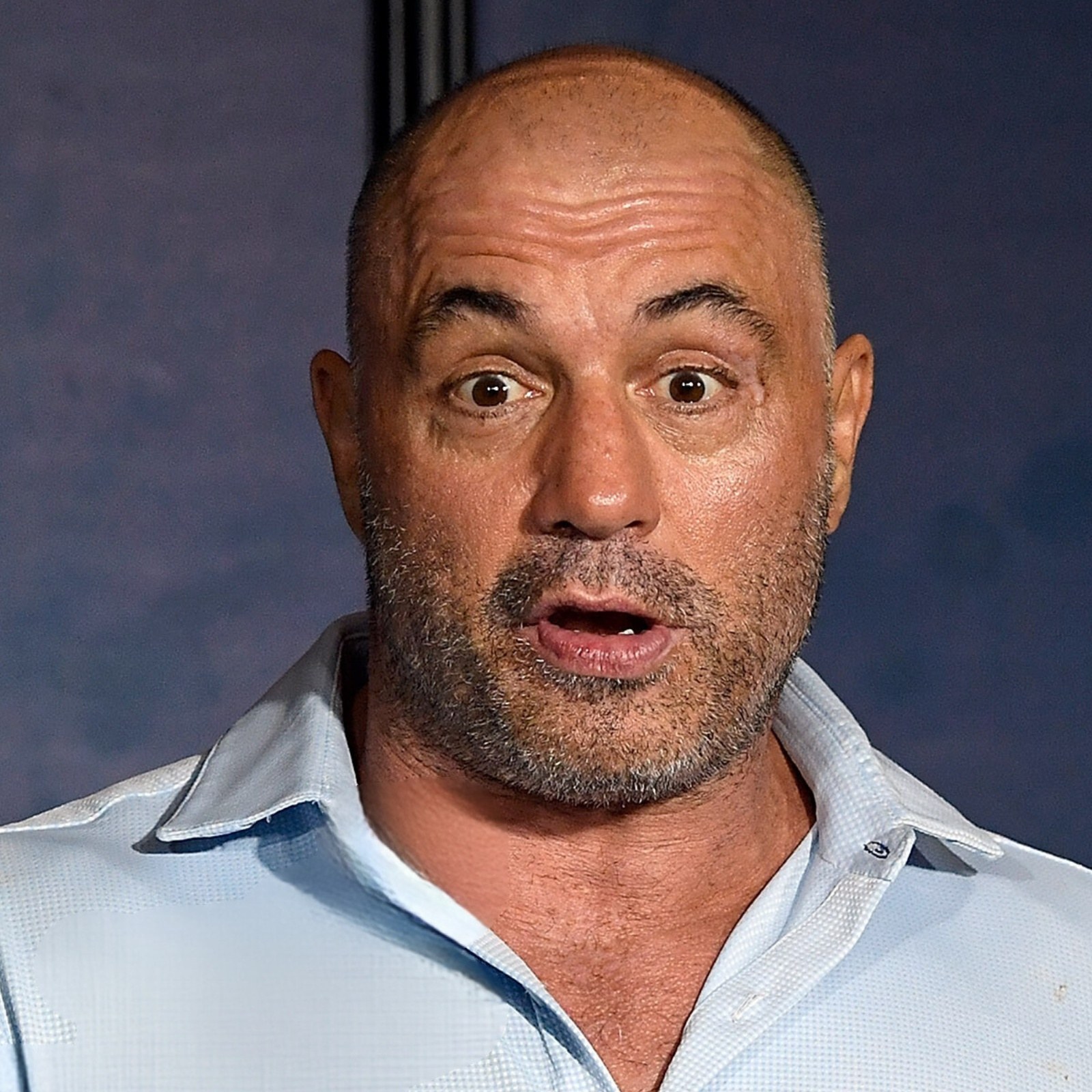 Joe Rogan Reveals the Incident That Made Him Think He Killed Someone