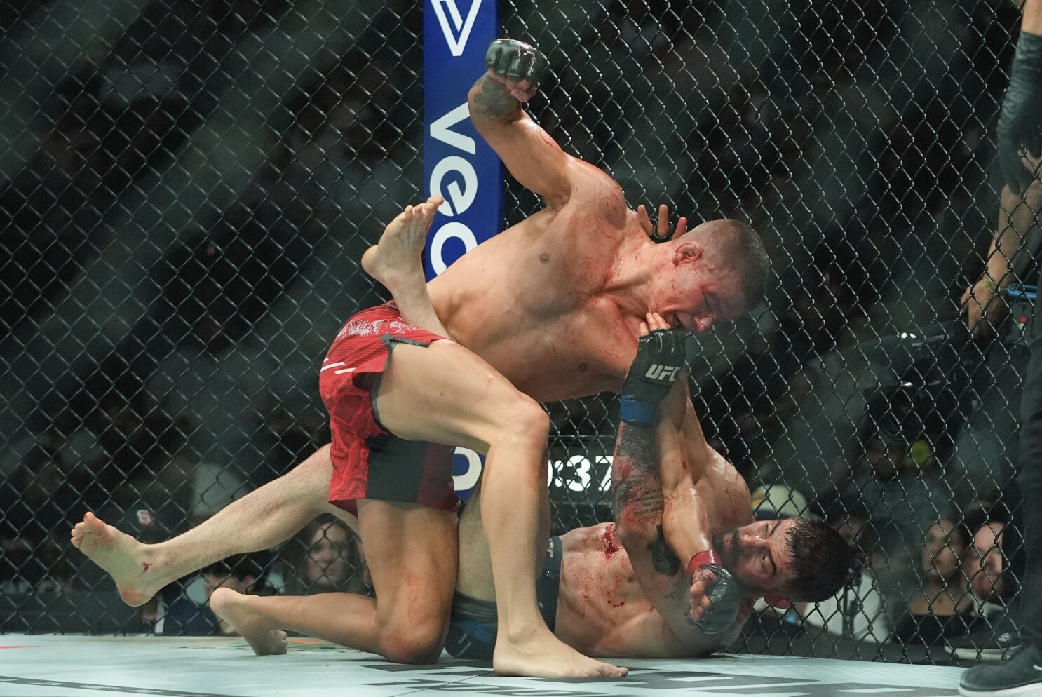 Is UFC More Popular Than Boxing? Unveiling Combat Sports Supremacy