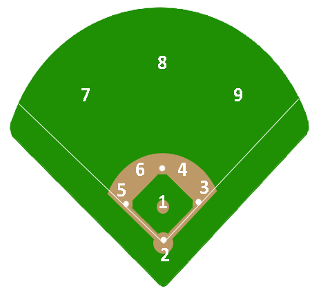 Understanding Baseball Fielding Position Numbers: A Complete Guide
