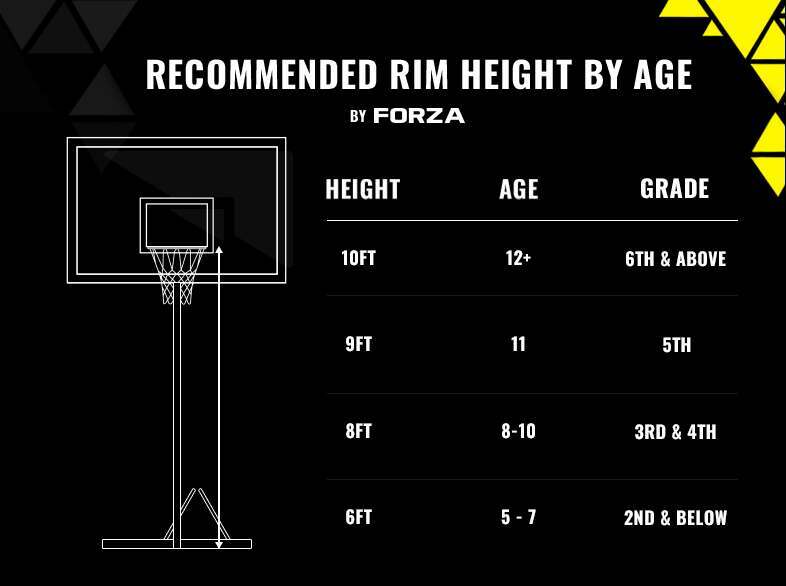 Discover the Standard Height of an NBA Basketball Rim