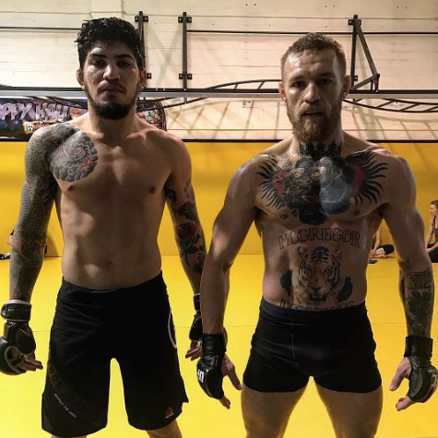 Why Dillon Danis Was Kicked Out of the Gym: Full Story Explained