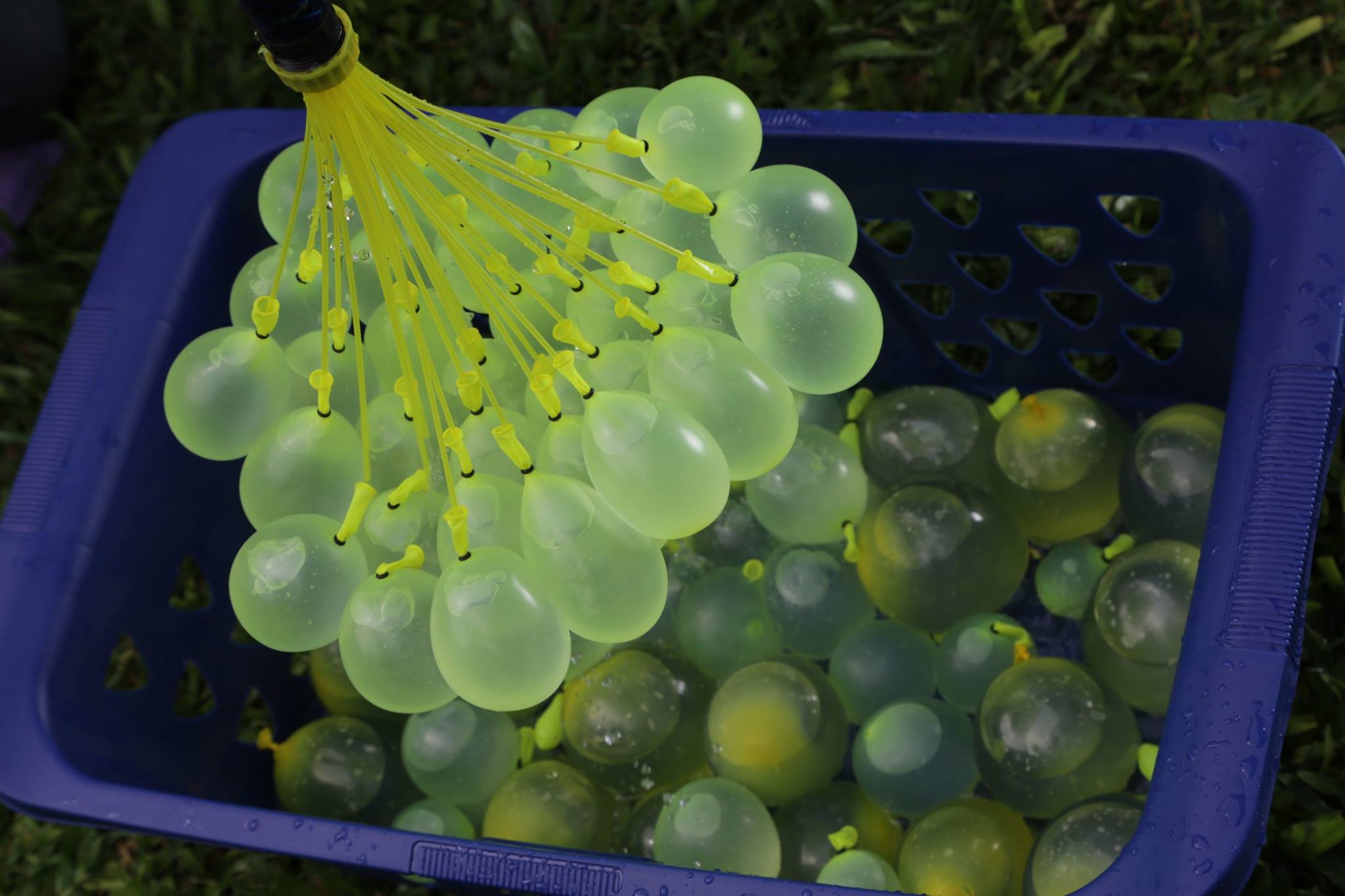 Josh Malone Net Worth: Exploring the Inventor Behind Bunch O Balloons