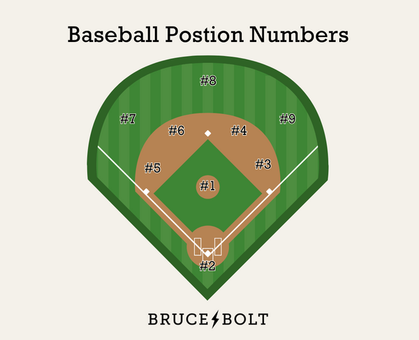 A Deep Dive into Baseball Positions by Numbers for Fans and Players