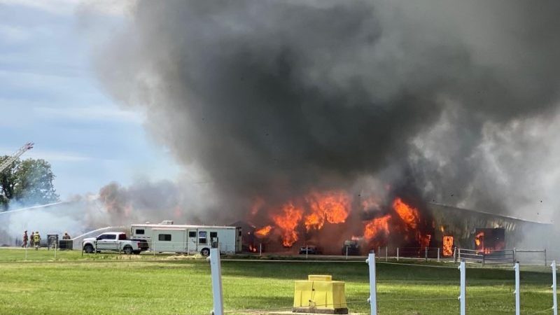 Tragic Barn Fire at Brant Performance Horses: 44 Horses Dead, Cause Still Under Investigation