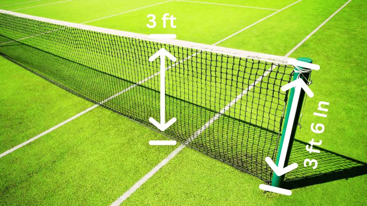 How high is a tennis net for different levels? Find out the answer for professional and casual tennis players!