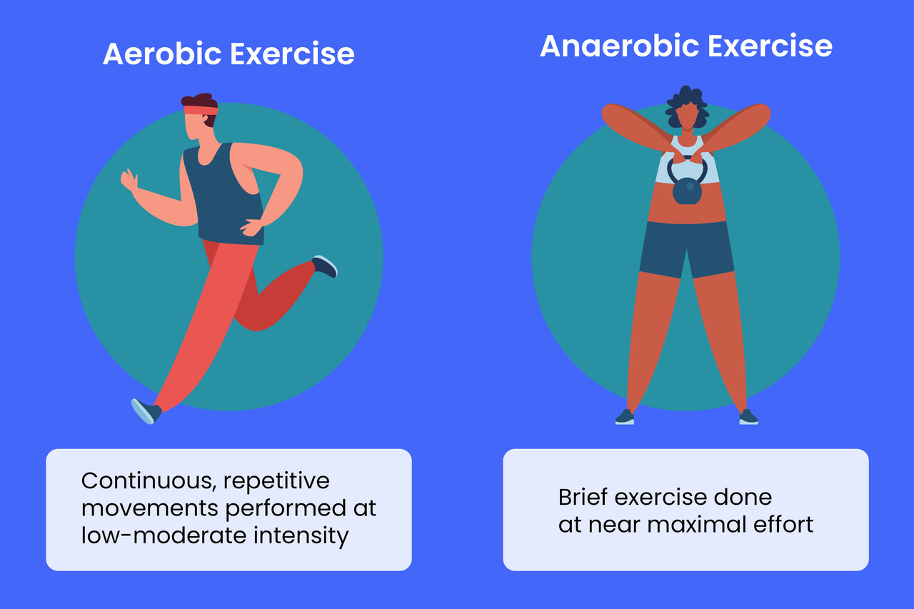 Tennis: Aerobic or Anaerobic Exercise? Simple Explanation for Beginners