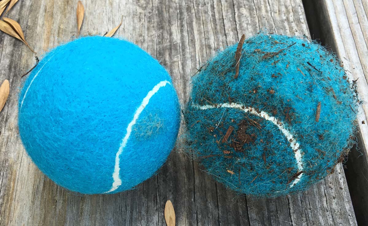 How to Wash a Tennis Ball Properly and Dry It Fast