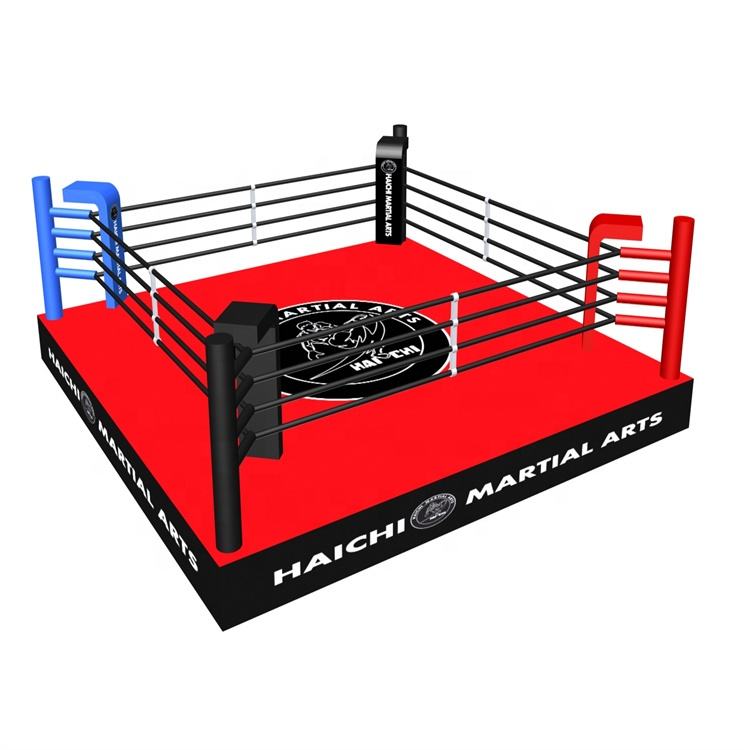 How Much Does a Boxing Ring Cost? (Here is the Actual Price Tag)