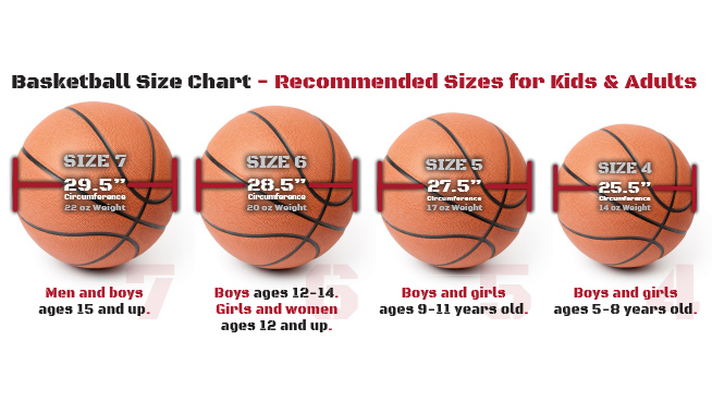 WNBA and NBA Ball Sizes Unveiling the Size Difference Details
