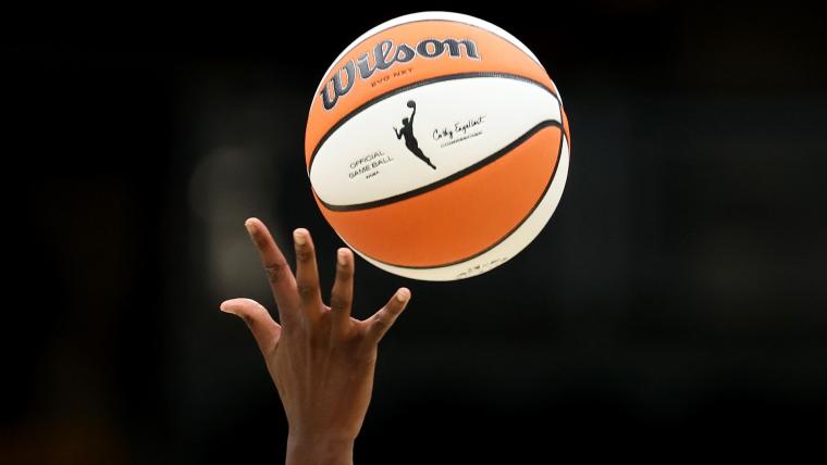 WNBA and NBA Ball Sizes Unveiling the Size Difference Details