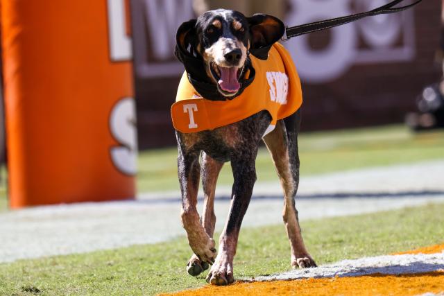 Quick Guide: What Channel is Tennessee Football On and How to Watch It