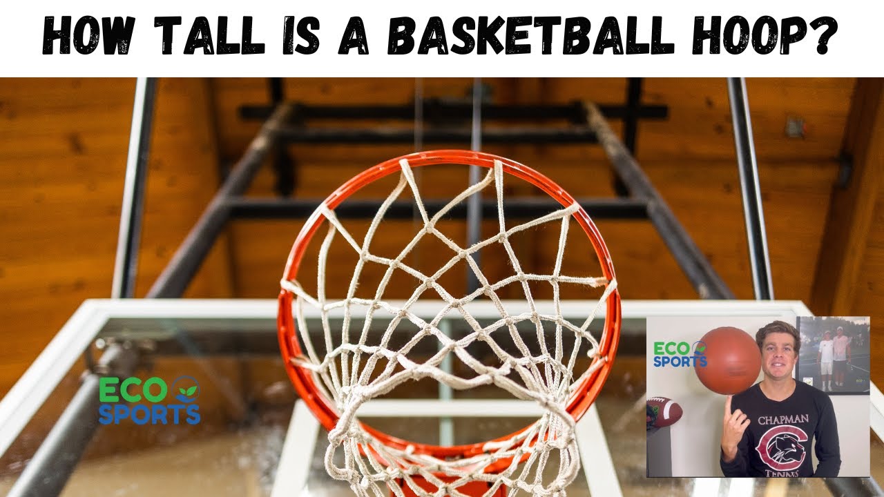 Curious About NBA Rim Height? Lets Get the Facts Straight