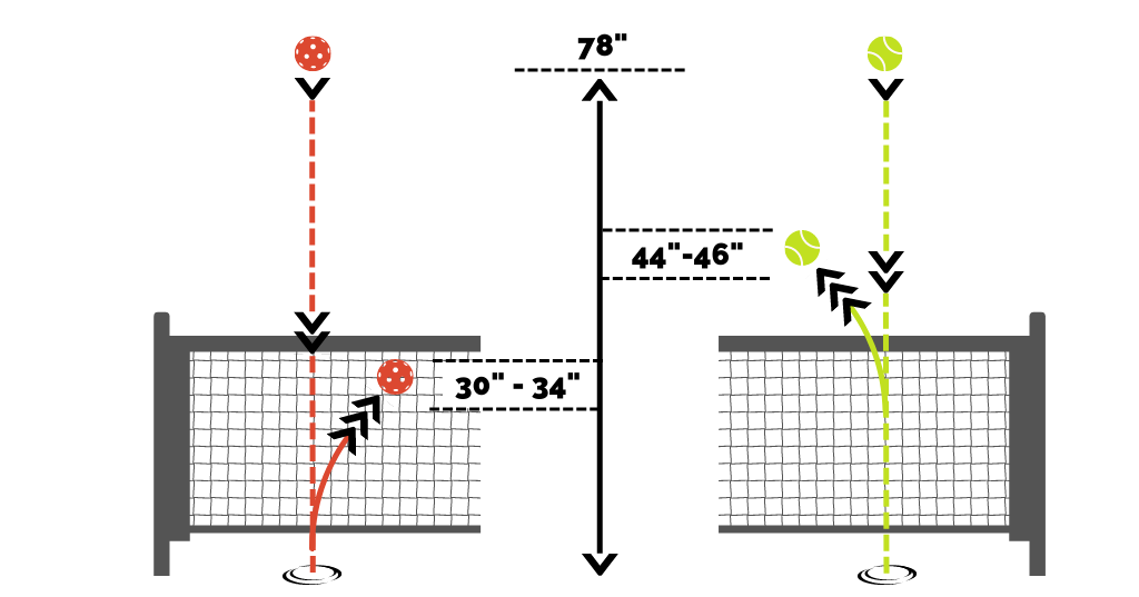 Confused About Net Heights? Pickleball and Tennis Net Guide