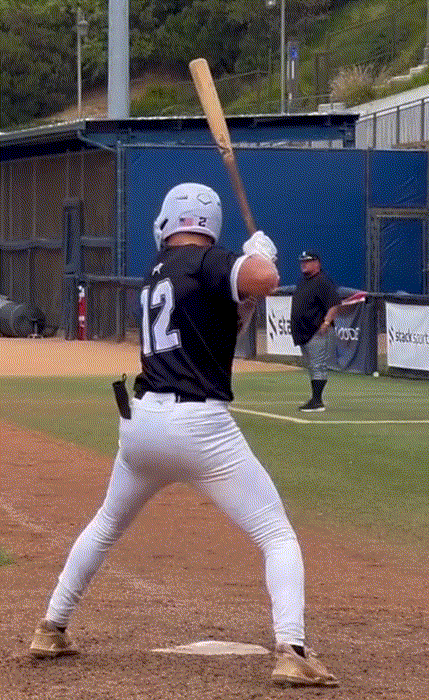 Have you seen my baseball gif? Its the one where the player makes that incredible catch! This blog has it and more.