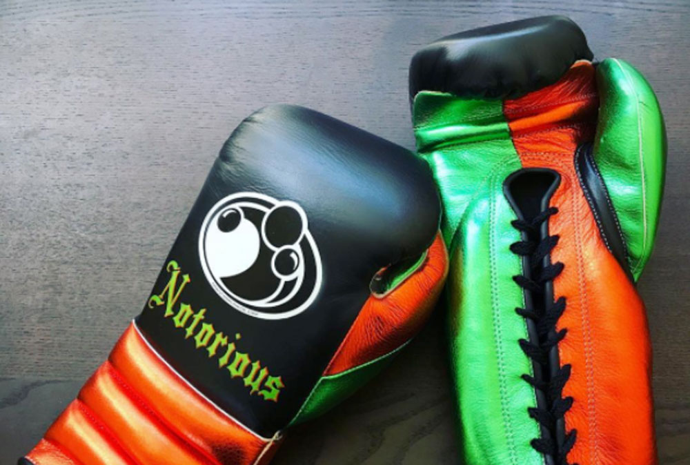 What boxing gloves does Floyd Mayweather use (Learn about the gear of a champion)
