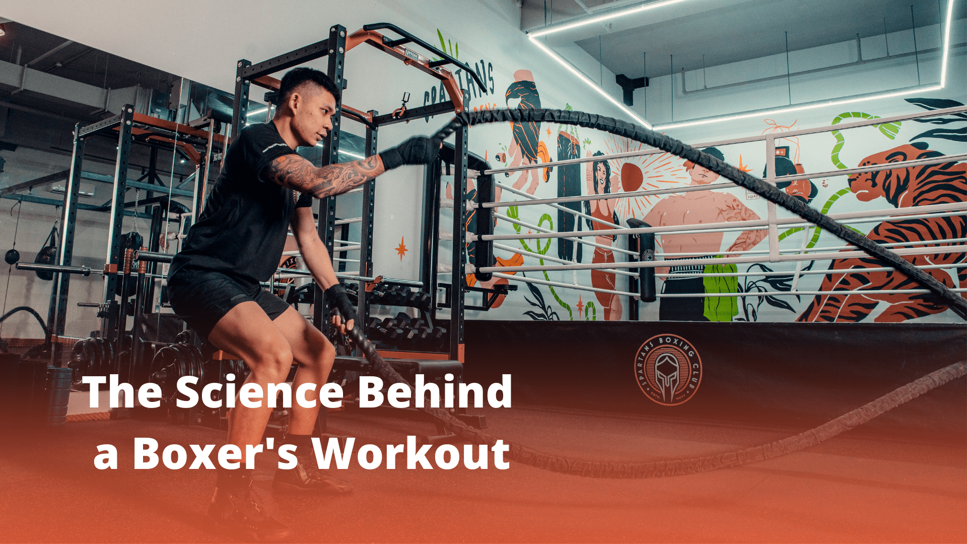 Unveiling the Truth: Is Boxing Training Aerobic or Anaerobic?