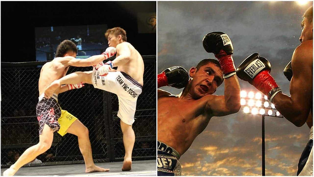 Is Boxing More Popular Than MMA? (Find Out Which Combat Sport Fans Love More)
