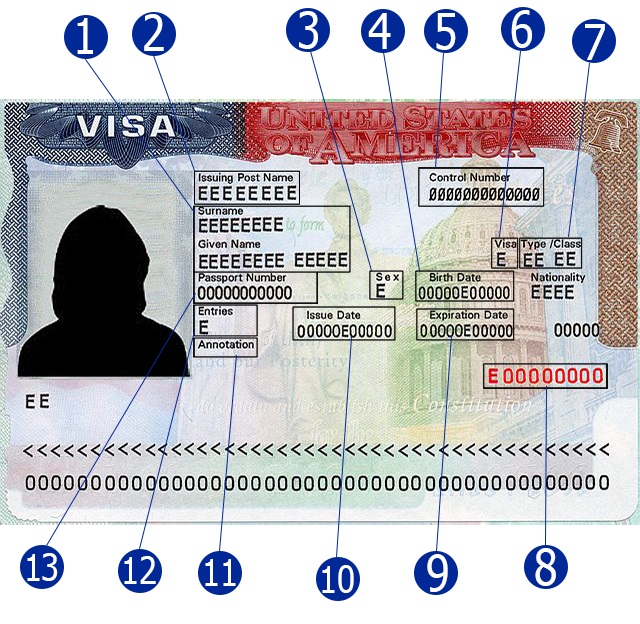 What is visa number in F1 visa? A simple guide to find your F1 visa number