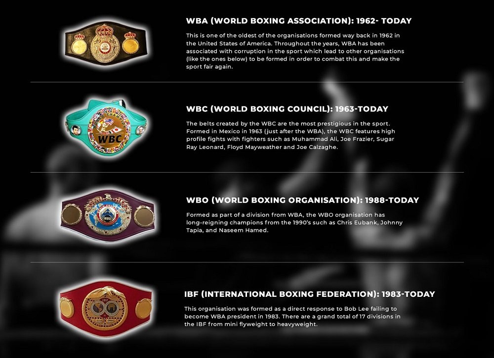 How do the boxing belts work? (The Ultimate Boxing Guide)