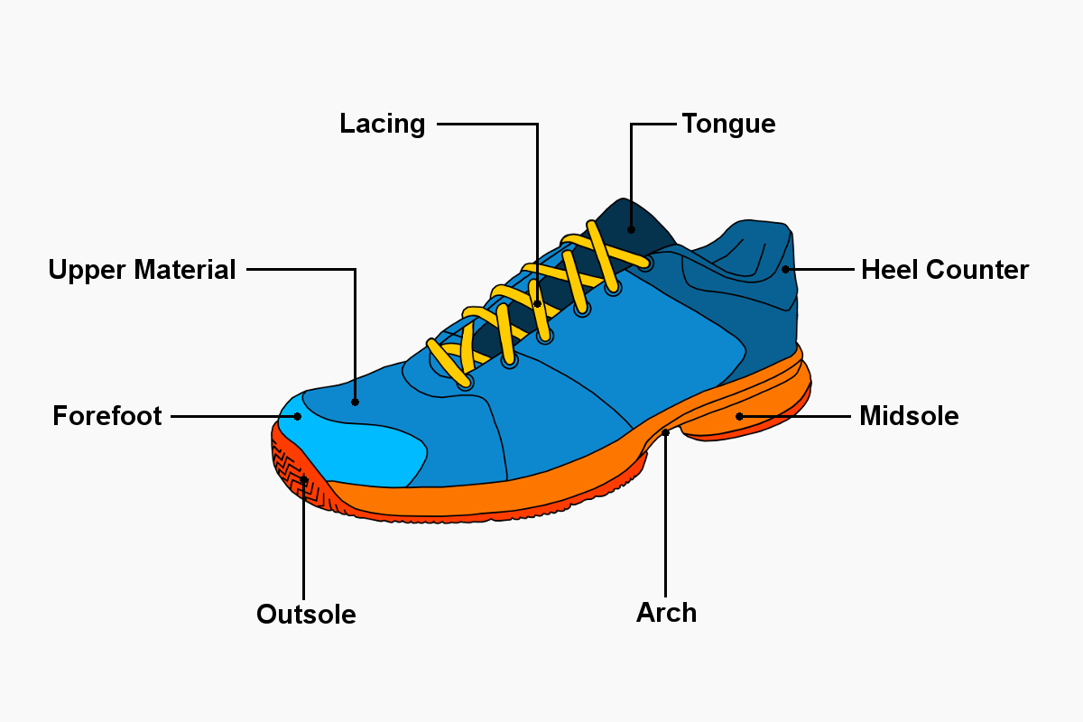 What is a tennis shoe and what is it made of? Learn about the materials and design that make it comfortable and durable.