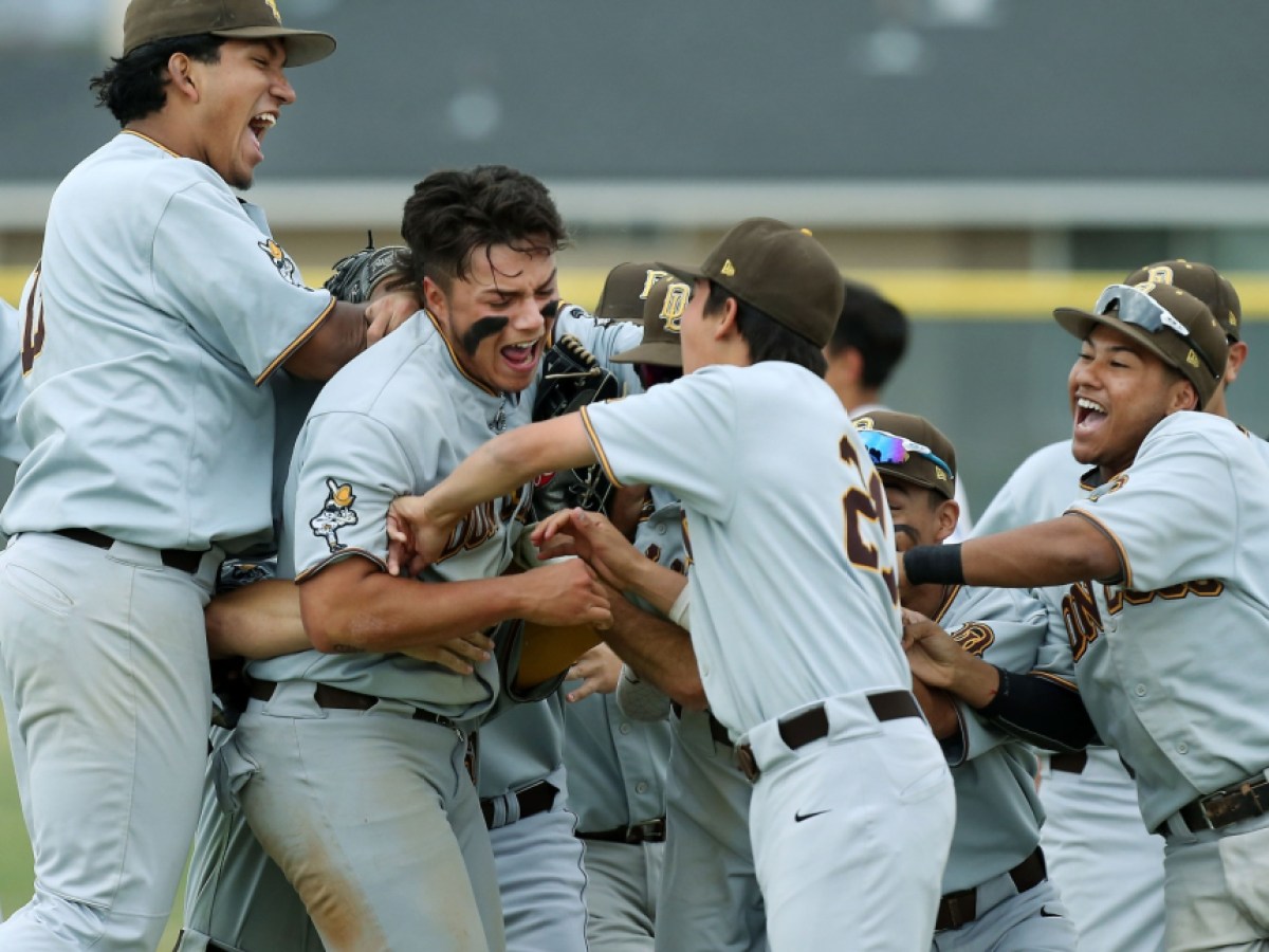 Don Lugo Baseball: A Guide for Players and Fans!