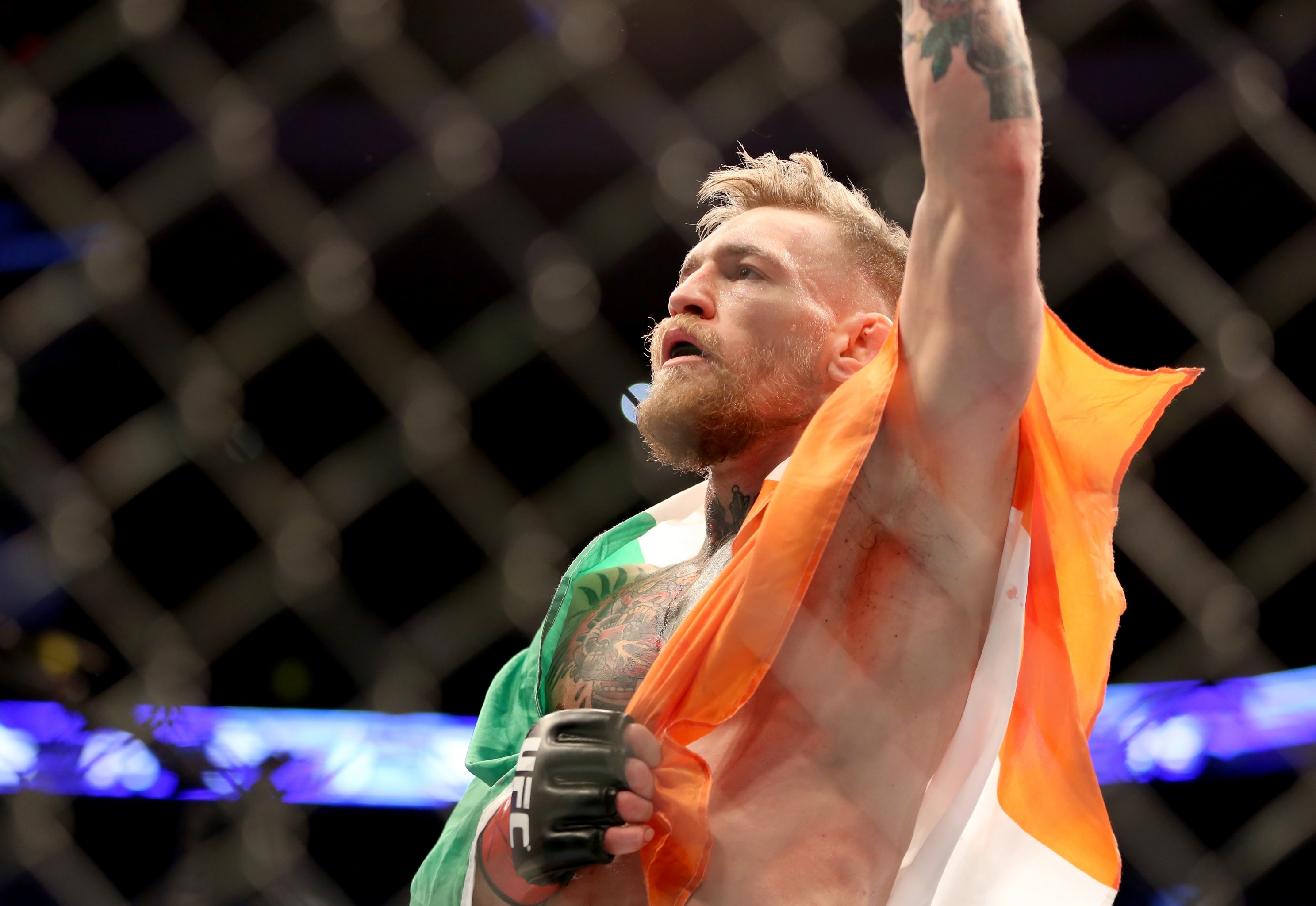 Learn More About Famous Ireland UFC Fighters and Their Careers.
