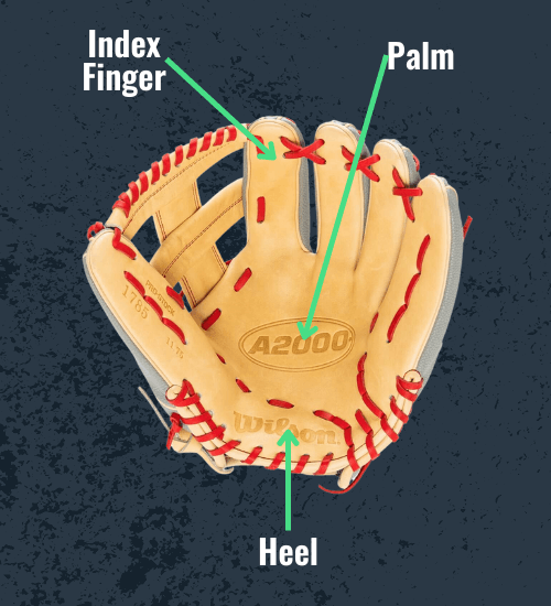 How to Measure Your Hand for Baseball Glove: Step-by-Step
