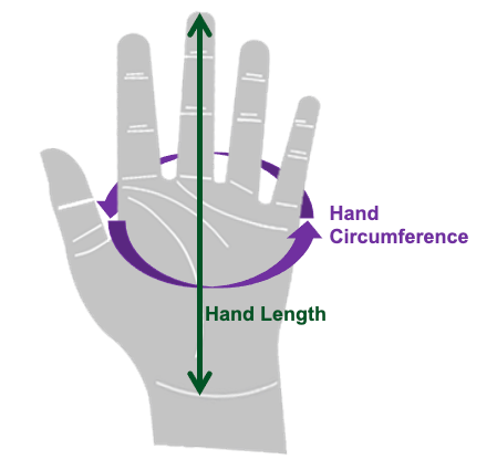 How to Measure Your Hand for Baseball Glove: Step-by-Step